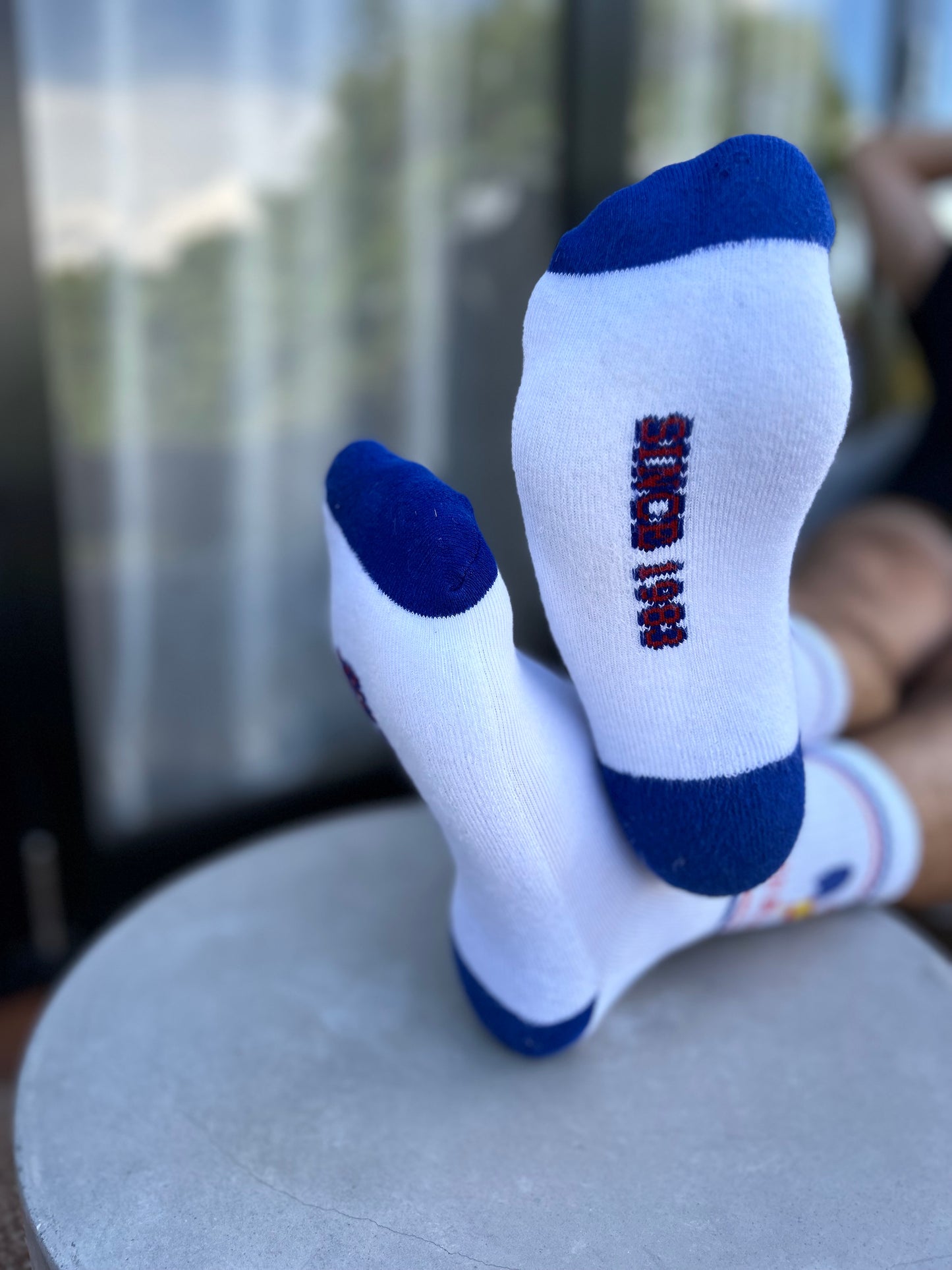 Super Rooster Socks