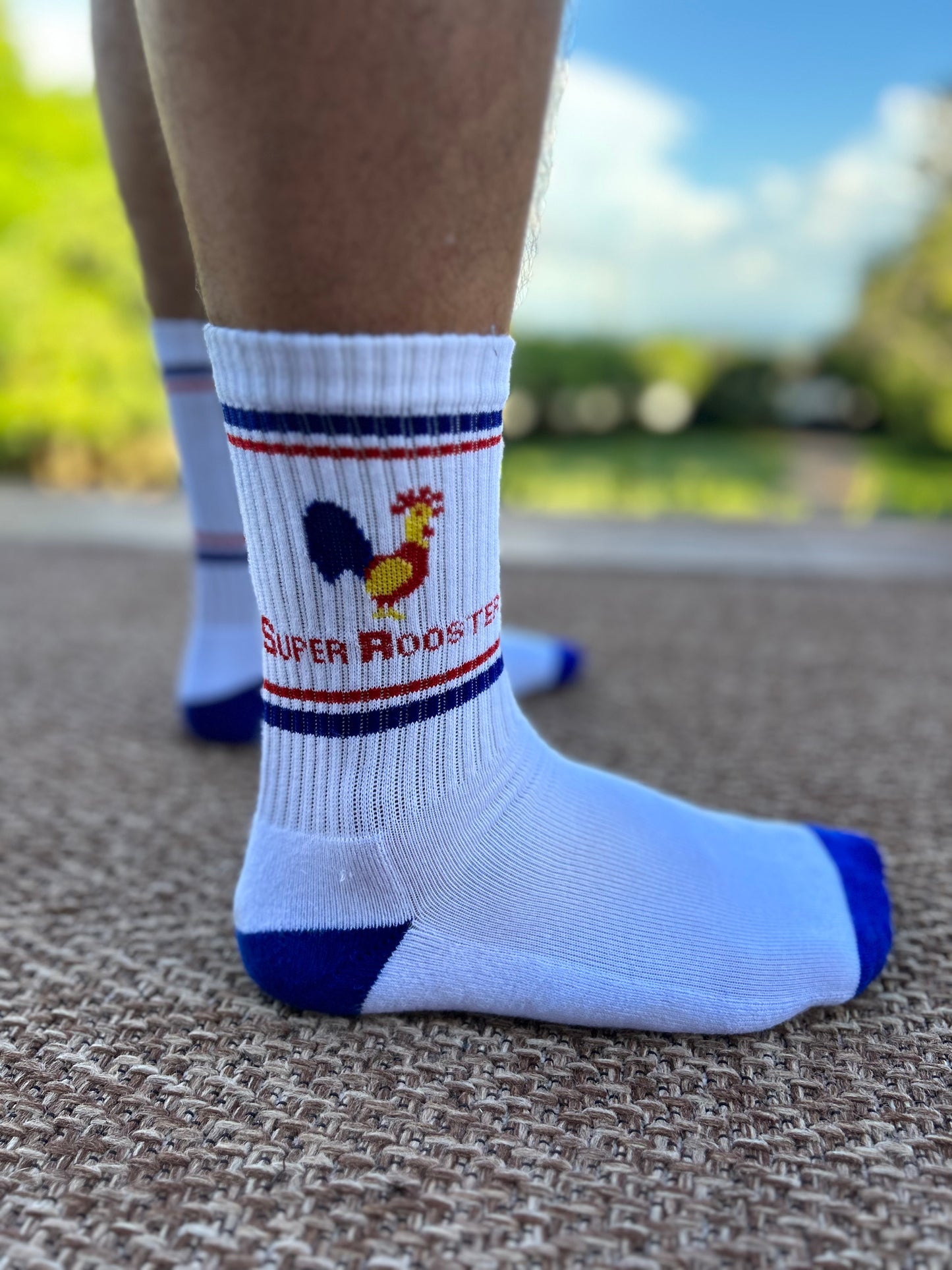 Super Rooster Socks