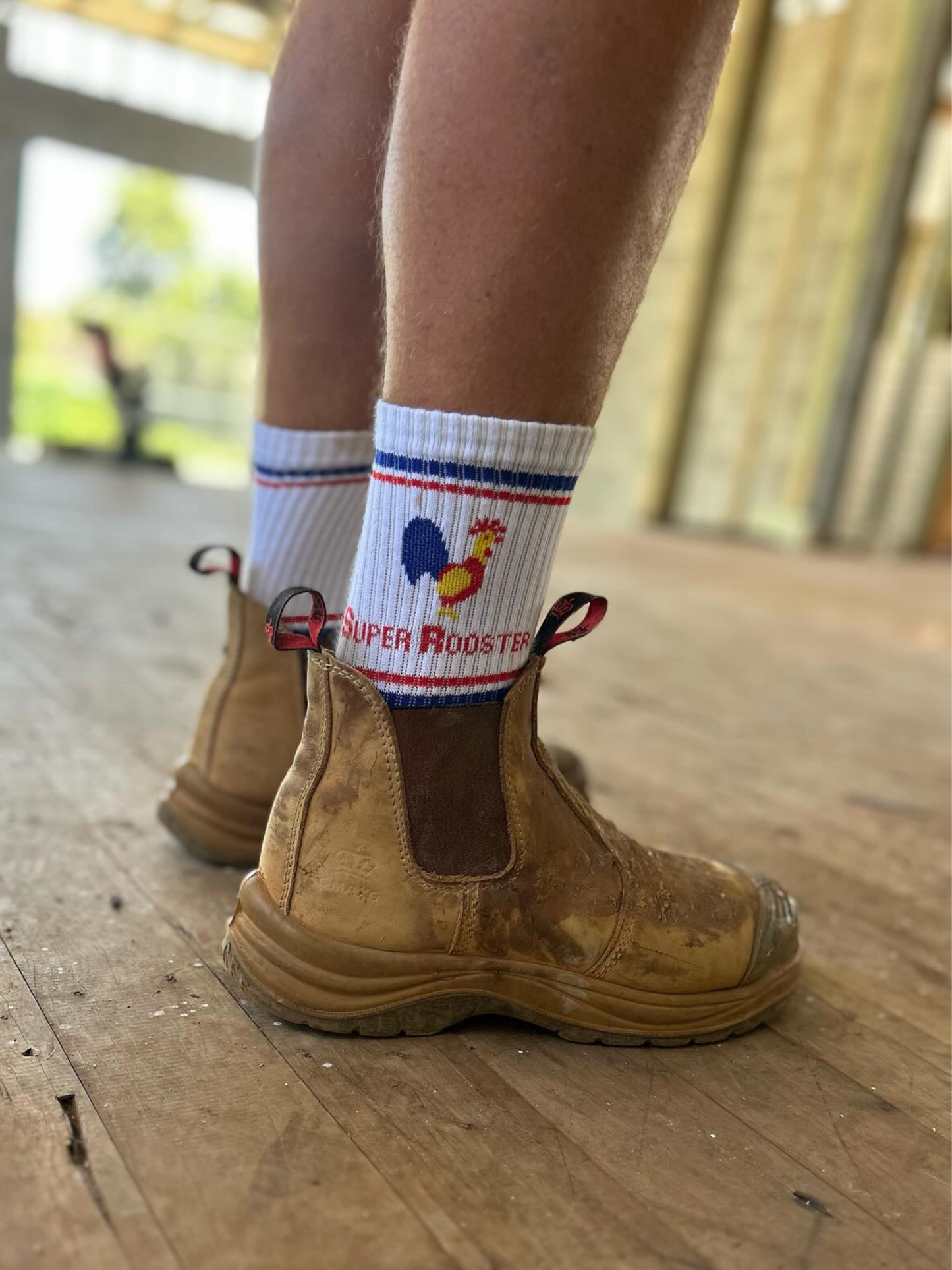 Super Rooster Socks